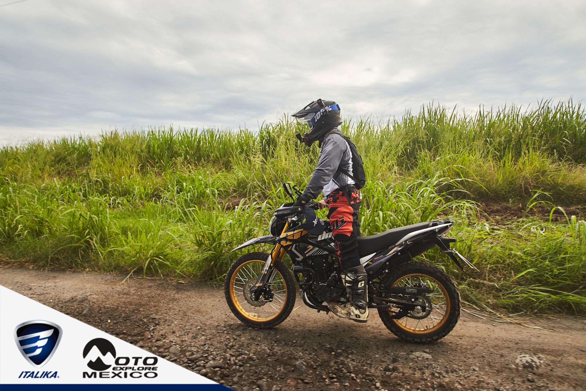 ITALIKA CHACHALACAS D2 38